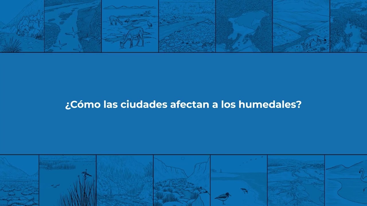 HUM2 M2V3 Relación entre hidrología y biodiversidad, y entre desarrollo urbano y humedales