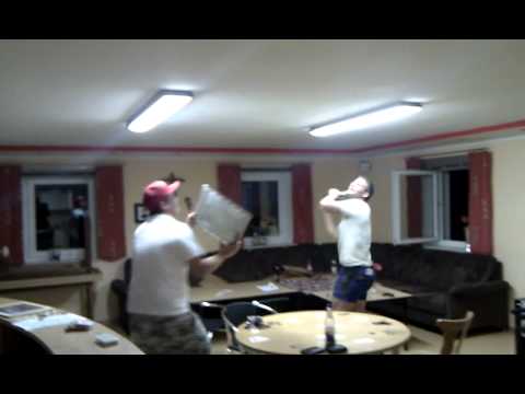 Hornisse im Jugendheim.3gp