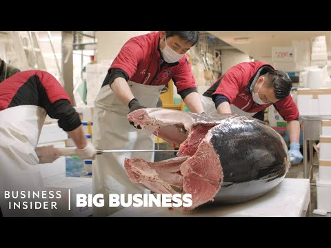 , title : 'How A 600 Pound Tunafish Sells For $3 Million At The Largest Fish Market In The World | Big Business'