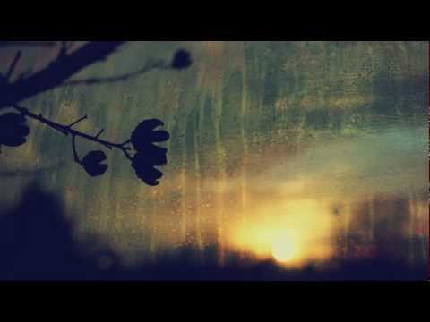 Gio Gogua - over dimension