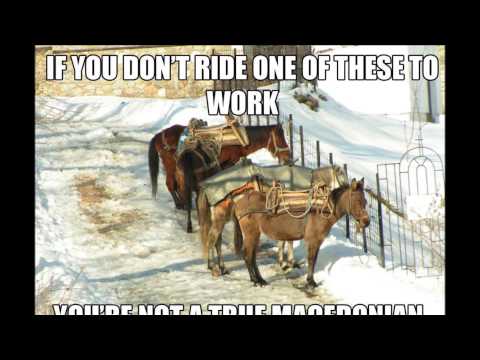 Maco's check it out. Slatkaristika.