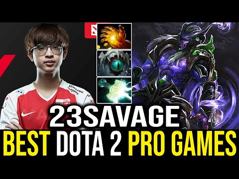 23Savage - Faceless Void | Dota 2 Pro Gameplay [Learn Top Dota]