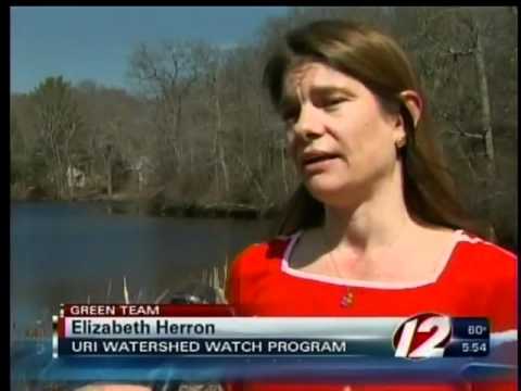 SK Lake Facing Plant Invasion