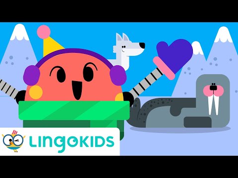 Polar Animals Song 🐻‍❄️🦭  Arctic Animals for Kids | Lingokids