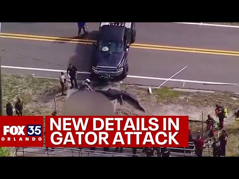Daughter speaks after her mother is found dead inside massive Florida alligator's mouth