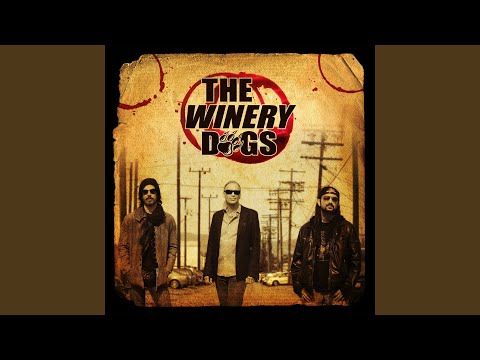 You Saved Me - The Winery Dogs
