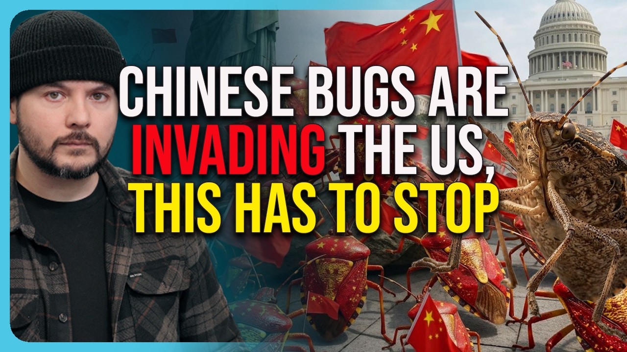 Chinese Bugs Are INVADING The US, THIS HAS TO STOP