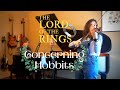 The Lord Of The Rings - Concerning Hobbits (The Shire Theme) | piano & violin