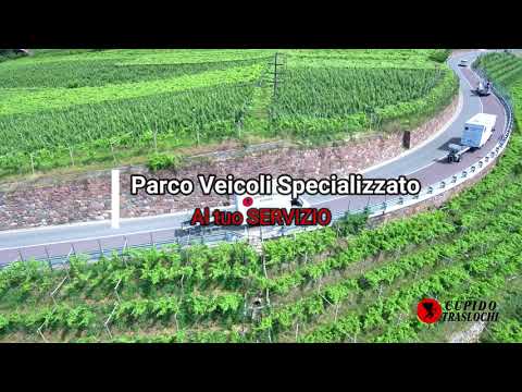 Cupido  Traslochi Presentazione