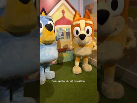 Visiting Bluey’s House • The Camp Store x Bluey in Real Life