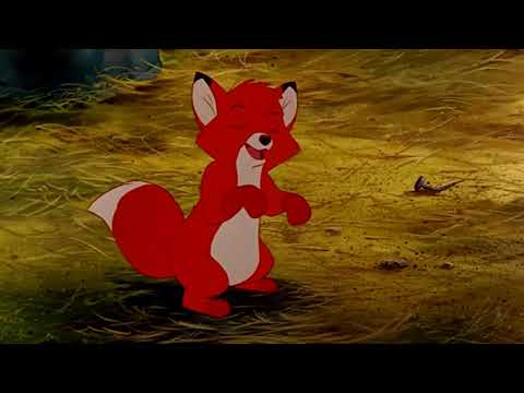 The Little Mer-Dog part 6 - "Part of Your World"