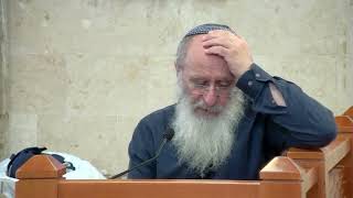 כל הראוי ליורשו גואל דמו – שיעור 133 – ספר במדבר