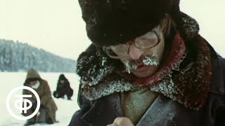 Ссылка