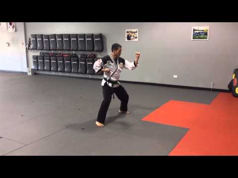 Chon Ji In Il Chang - Brown Stripe Kyuki-Do Form