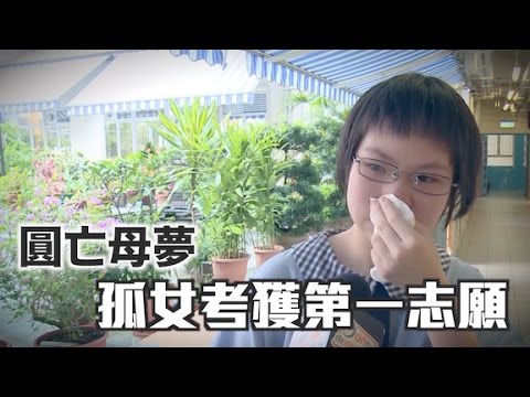 鮮魚 行 學校