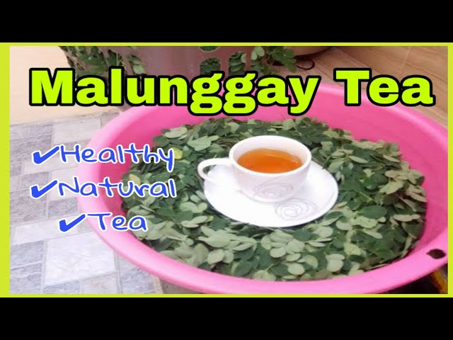 How To:Make Malunggay Tea(Moringga Oleifera Miracle Tree) Herbal Medicine