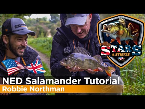 Perch Tutorial, NED Salamander,  Cheb Rig - Stars and Stripes Episode 2