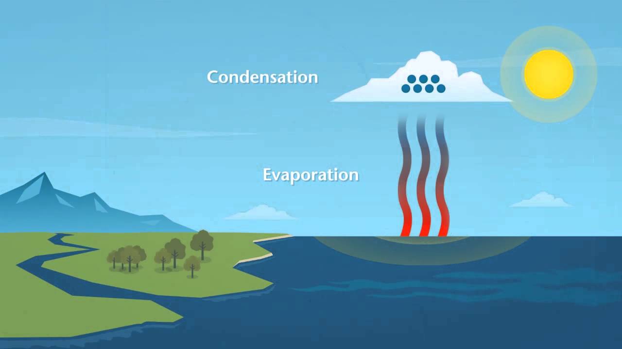 How does rain reach the ocean?