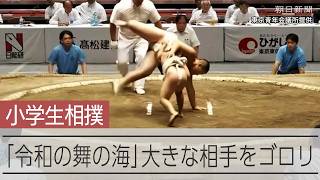 「令和の舞の海」巨漢投げ飛ばす小学生、動画がSNSで人気に