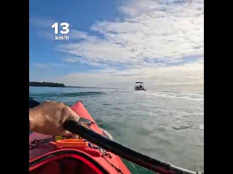 Staying in the boat wake #kayak #kayakinglife #kayaker #newzealand