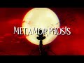 INTERWORLD METAMORPHOSIS Guitar Remix