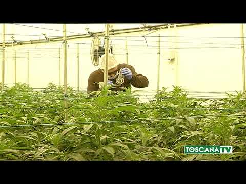 2019-01-29 FIRENZE - PIÙ SPAZIO IN LABORATORIO GALENICO S.M.NUOVA