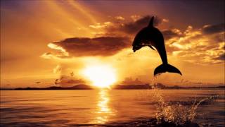 Aerium - Dolphins (Serenade Remix)