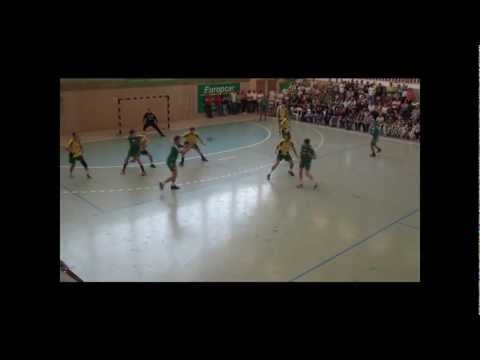 LSV Ziegelheim - HSV Bad Blankenburg 28:30