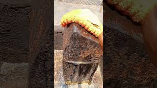 Mujh pe teri nazar hai Maiya 🥰🙏#shorts