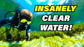 Our Amazing Florida Vacation & Scuba Adventure | PART 1