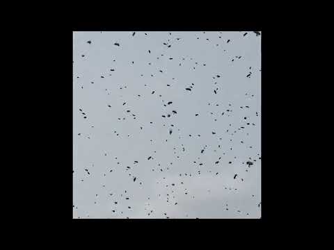 S9E5: Giant Swarm 2023 Part 1