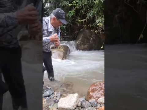 Devuelvo una Zabaleta grande en Zamora Chinchipe #Zabaleta #devolucion #pescazamora