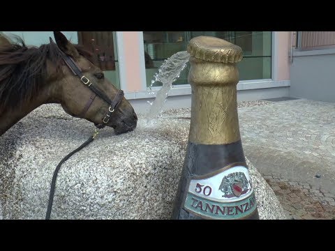 Naira wird zum Säufer? :o - Abenteuer Wanderritt - Teil 3