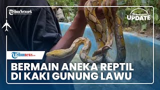 Bermain hingga Berfoto dengan Beragam Reptil di Kebun Binatang Mini Taman Satwa Kemuning