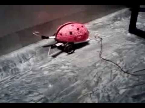 Robot siguelineas MARIQUITA