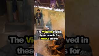 Download lagu A trip to the CU CHI Tunnels really was a wild one   Source ashleesplanet mp3