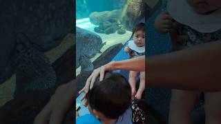【水族館あるある】このあと2歳児に悲劇が… #生後7ヶ月 #育児あるある #ホノルル