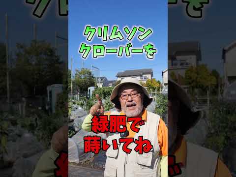 秋に蒔く緑肥は何ですか？当店TOP3をお届けします！  庭園