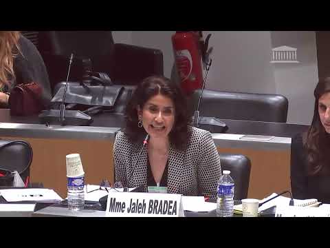 29/02/2024 Audition - Introduction Jaleh Bradea, référente diversité pour le groupe Canal+ auprès...