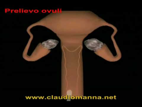 Claudio Manna-15