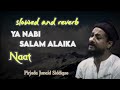 Ya Nabi Salam Alaika (Pirjada Junaid Siddiqui Keyam) || Lofi Version || Slowed and Reverb