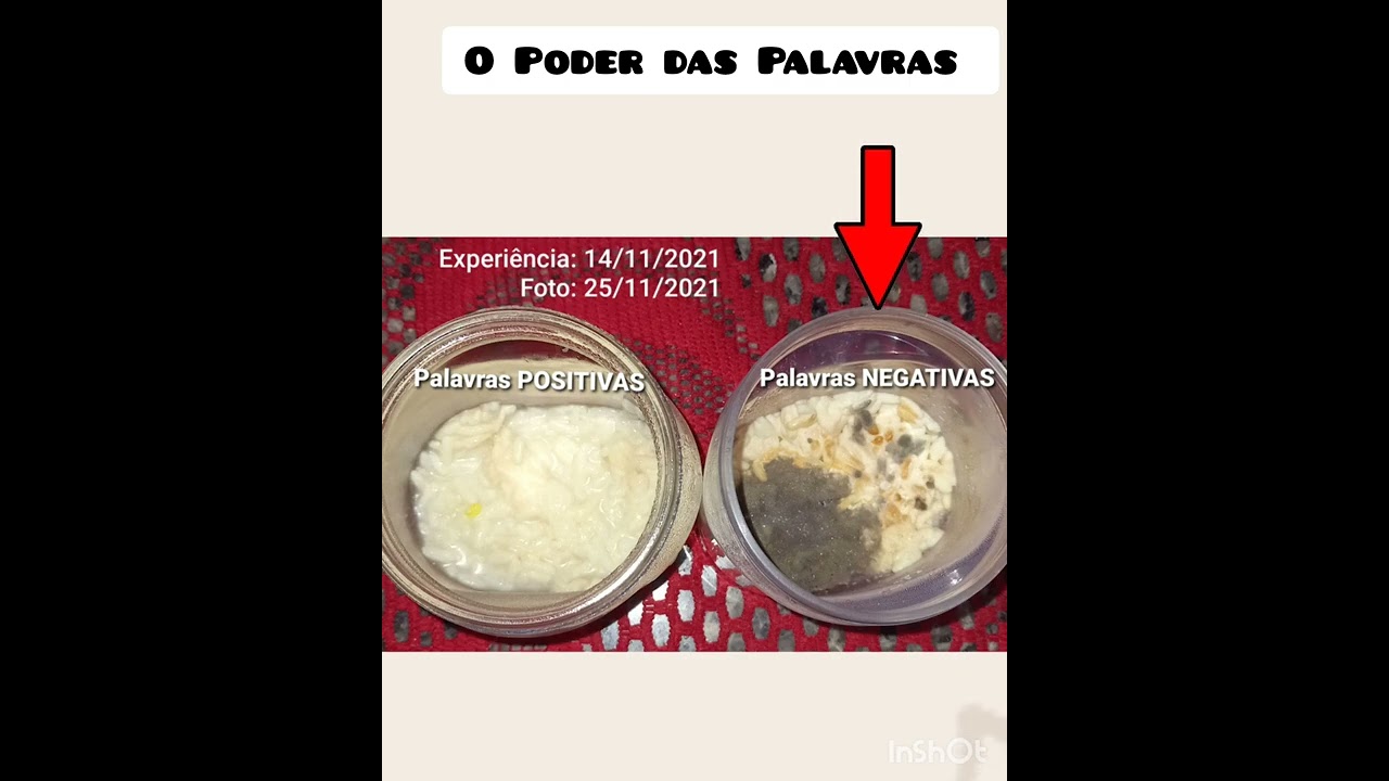 O poder das Palavras - Experiência feita com Arroz
