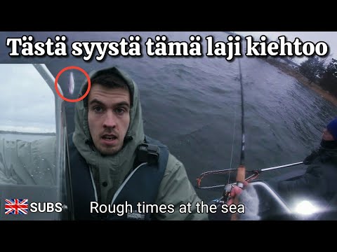 Meritaimenen kalastus syksyllä - Helppoa ja kivaa?