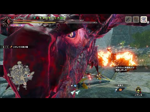 【MHR:SB】傀異討究Lv200 リオレウス希少種 ランス ソロ 06'36''90【Steam】