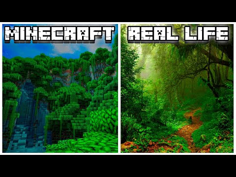 Real Life Minecraft Biomes Revealed
