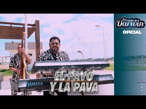 El Pavo y la Pava El Combo de Darwin Video 4K