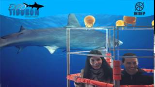 DIA 3 Expo Tiburon142