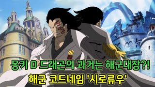 [원피스분석]몽키D 드래곤의 과거는 해군대장?! 해군 코드네임 '시로류우'