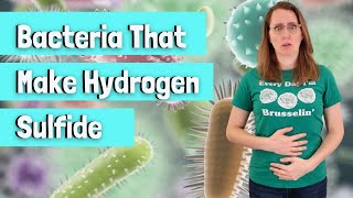 Bacteria That Make Hydrogen Sulfide (H2S)