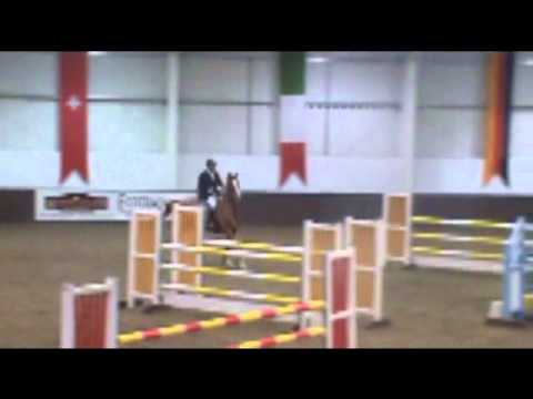 Zipicor d clear addington